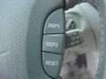 Mercury Metallic - LS 430 Photo No. 35