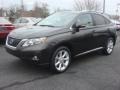 Front 3/4 View of 2010 RX 350