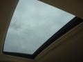Truffle Brown Mica - RX 350 Photo No. 16