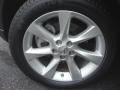2010 Lexus RX 350 Wheel and Tire Photo