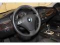Black Steering Wheel Photo for 2010 BMW 5 Series #77903143