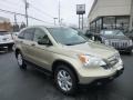 2007 Borrego Beige Metallic Honda CR-V EX 4WD  photo #1