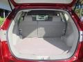 Gray Trunk Photo for 2009 Nissan Rogue #77907637
