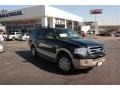 2010 Tuxedo Black Ford Expedition Eddie Bauer  photo #1