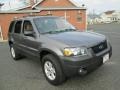 2006 Dark Shadow Grey Metallic Ford Escape XLT  photo #11