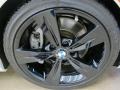 2009 BMW 3 Series 335xi Sedan Wheel and Tire Photo