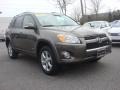 2010 Pyrite Metallic Toyota RAV4 Limited V6 4WD  photo #1