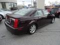 2008 Black Cherry Cadillac STS 4 V6 AWD  photo #6