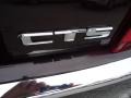 Black Cherry - CTS Sedan Photo No. 42