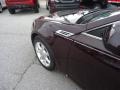 Black Cherry - CTS Sedan Photo No. 45