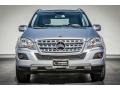 Iridium Silver Metallic - ML 350 Photo No. 2