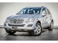 Iridium Silver Metallic - ML 350 Photo No. 13
