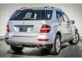 Iridium Silver Metallic - ML 350 Photo No. 14