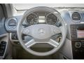 Iridium Silver Metallic - ML 350 Photo No. 15