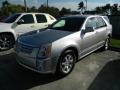Light Platinum - SRX V6 Photo No. 2