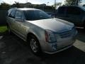 Light Platinum - SRX V6 Photo No. 3