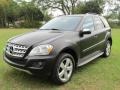 Black - ML 350 Photo No. 1