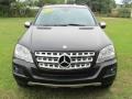 Black - ML 350 Photo No. 2