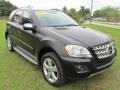 Black - ML 350 Photo No. 3