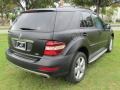 Black - ML 350 Photo No. 4