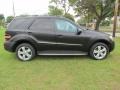Black - ML 350 Photo No. 15