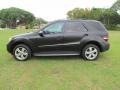 Black - ML 350 Photo No. 16