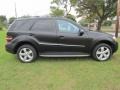 Black - ML 350 Photo No. 48