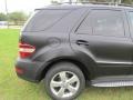 Black - ML 350 Photo No. 49