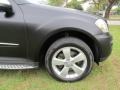 Black - ML 350 Photo No. 52