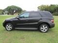 Black - ML 350 Photo No. 56