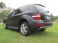 Black - ML 350 Photo No. 57