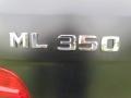 Black - ML 350 Photo No. 59