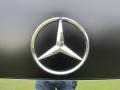 Black - ML 350 Photo No. 60