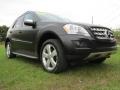 Black - ML 350 Photo No. 69