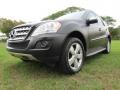 Black - ML 350 Photo No. 78