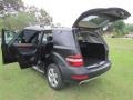 Black - ML 350 Photo No. 79