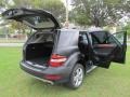 Black - ML 350 Photo No. 80
