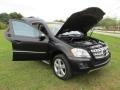Black - ML 350 Photo No. 81