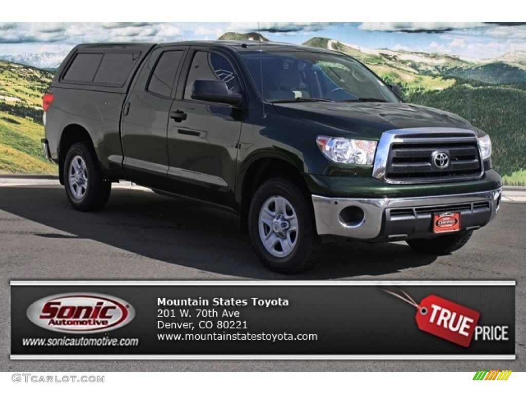 2010 Tundra Double Cab 4x4 - Spruce Green Mica / Sand Beige photo #1