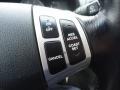 Controls of 2007 Elantra Limited Sedan