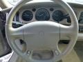 Taupe 2002 Buick LeSabre Custom Steering Wheel