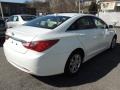 Shimmering White - Sonata GLS Photo No. 6