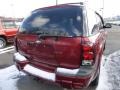 Red Jewel Tint Coat - TrailBlazer LS 4x4 Photo No. 2