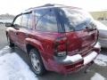 Red Jewel Tint Coat - TrailBlazer LS 4x4 Photo No. 3
