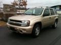 Sandstone Metallic - TrailBlazer LS 4x4 Photo No. 1