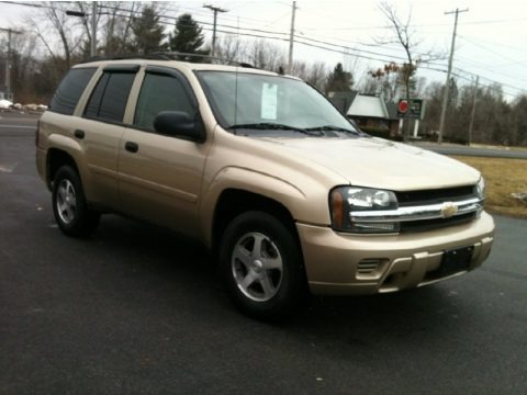 2006 Chevrolet TrailBlazer LS 4x4 Data, Info and Specs