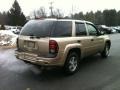 Sandstone Metallic - TrailBlazer LS 4x4 Photo No. 4