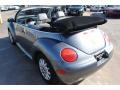 Platinum Grey Metallic - New Beetle GLS Convertible Photo No. 5