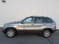 Sterling Grey Metallic - X5 3.0i Photo No. 2