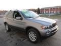 Sterling Grey Metallic - X5 3.0i Photo No. 5